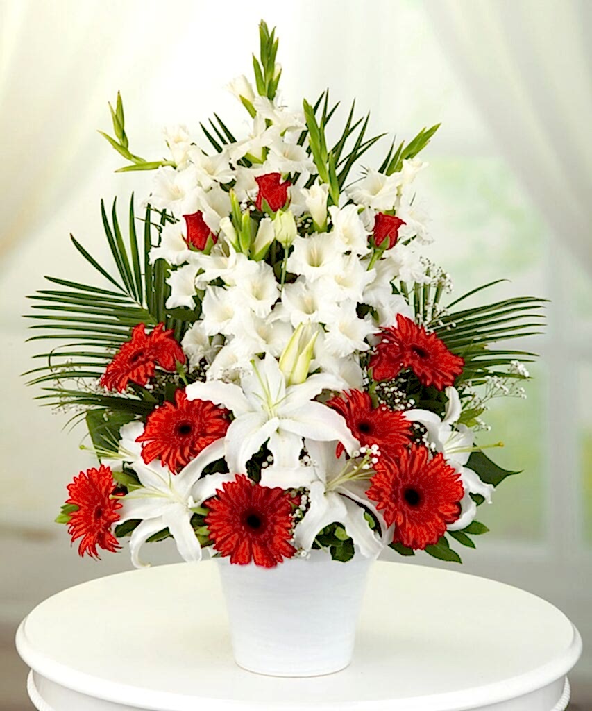 kirmizi-gerbera-sevgini-anlat